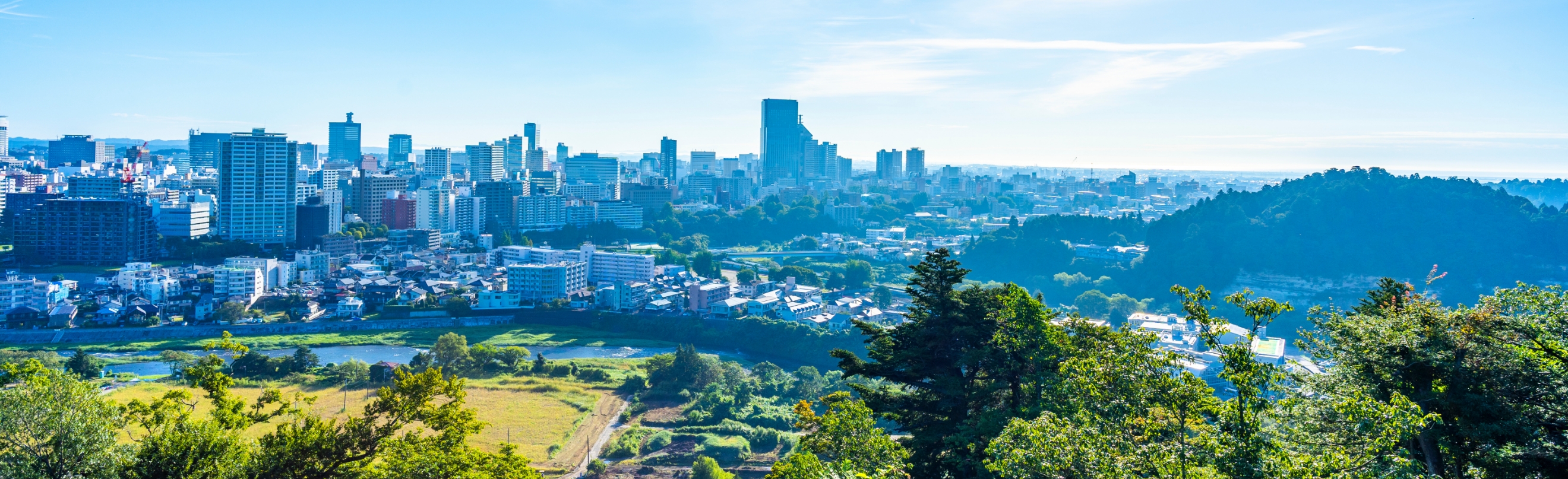 仙台採用